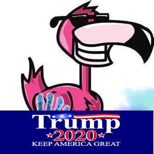 Meet your Posher, Josh